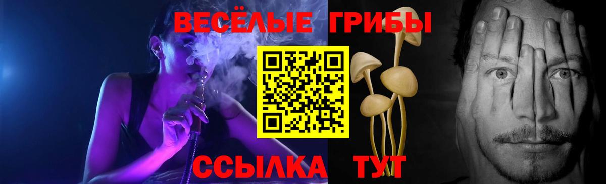 Галлюциногенные грибы Psilocybine cubensis  Вход с VPN  Артёмовский 